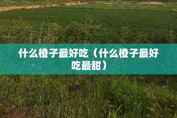 什么橙子最好吃（什么橙子最好吃最甜）