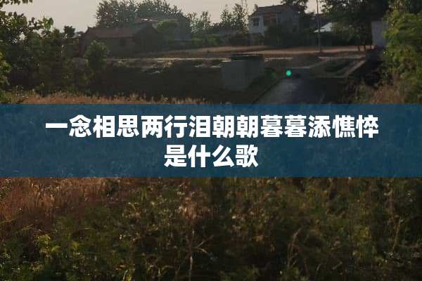 一念相思两行泪朝朝暮暮添憔悴是什么歌