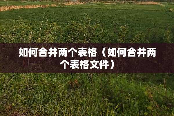 如何合并两个表格（如何合并两个表格文件）