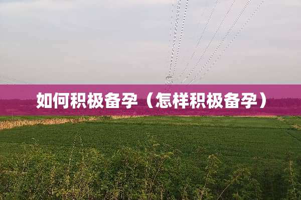 如何积极备孕（怎样积极备孕）