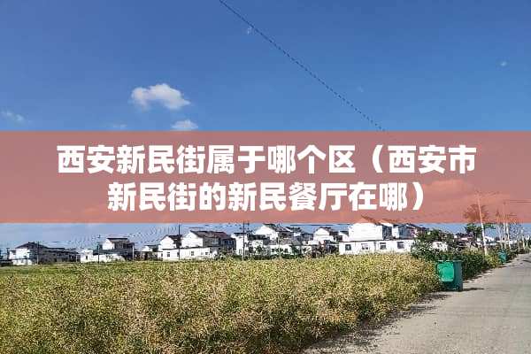 西安新民街属于哪个区（西安市新民街的新民餐厅在哪）