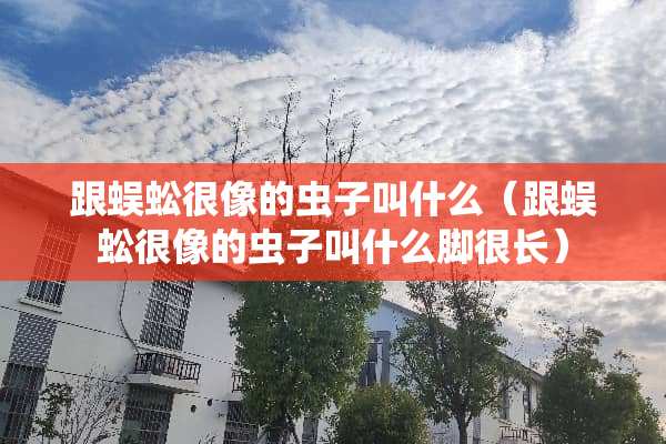 跟蜈蚣很像的虫子叫什么（跟蜈蚣很像的虫子叫什么脚很长）
