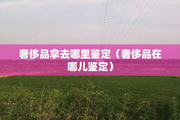 奢侈品拿去哪里鉴定（奢侈品在哪儿鉴定）