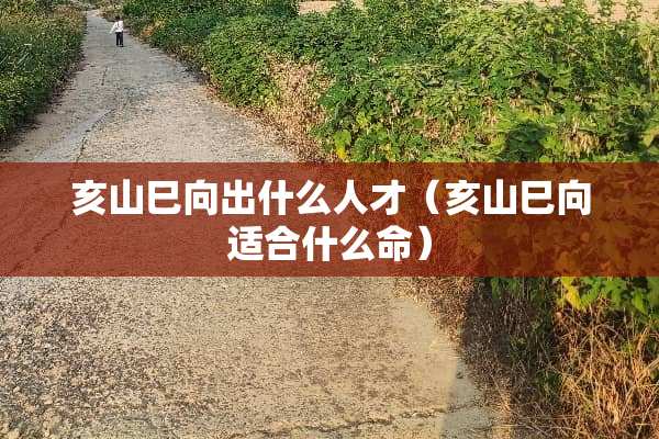 亥山巳向出什么人才（亥山巳向适合什么命）
