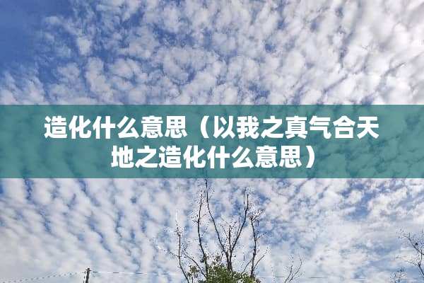 造化什么意思（以我之真气合天地之造化什么意思）