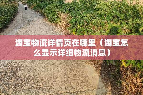 淘宝物流详情页在哪里（淘宝怎么显示详细物流消息）