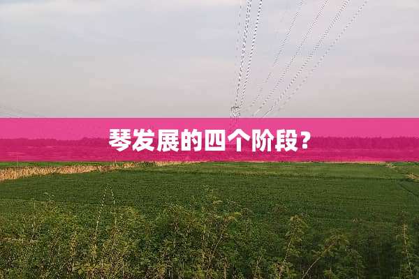 琴发展的四个阶段？