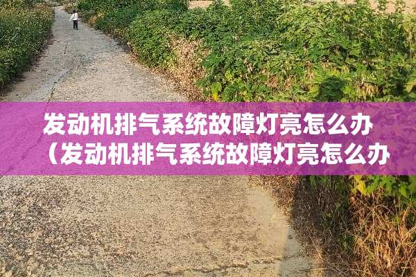 发动机排气系统故障灯亮怎么办（发动机排气系统故障灯亮怎么办怎样解决怎么修）