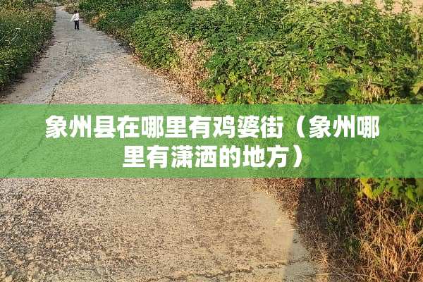 象州县在哪里有鸡婆街（象州哪里有潇洒的地方）