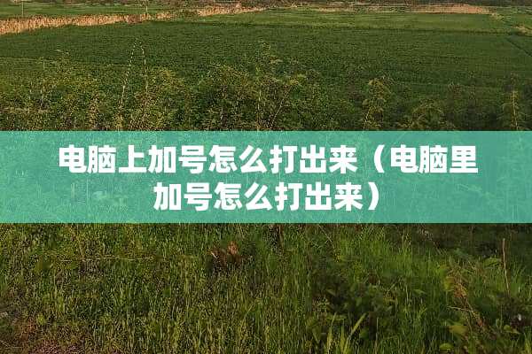 电脑上加号怎么打出来（电脑里加号怎么打出来）