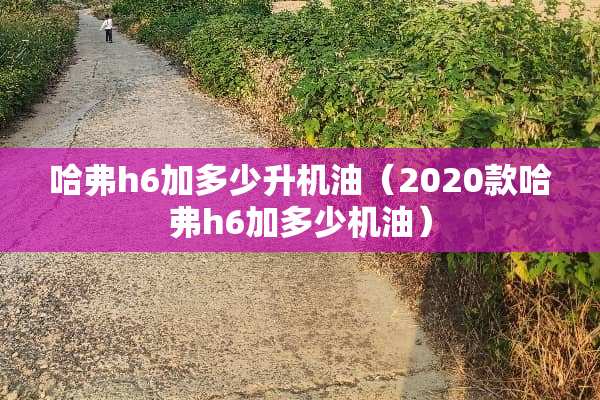 哈弗h6加多少升机油（2020款哈弗h6加多少机油）