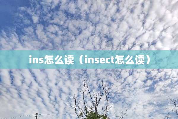 ins怎么读（insect怎么读）