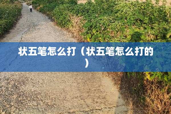 状五笔怎么打（状五笔怎么打的）