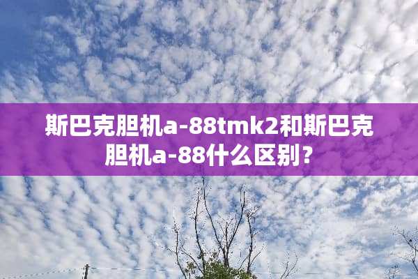 斯巴克胆机a-88tmk2和斯巴克胆机a-88什么区别？