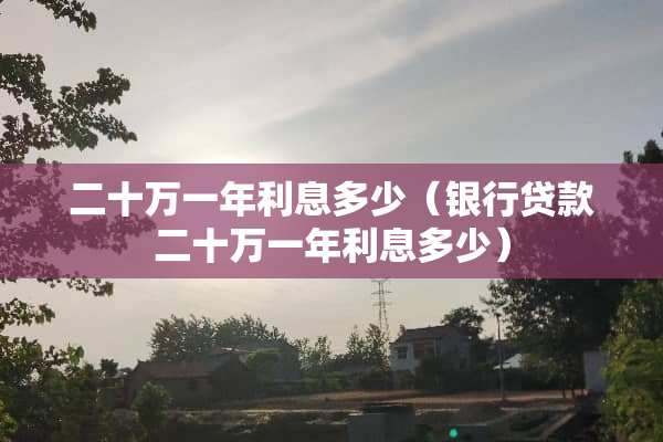 二十万一年利息多少（银行贷款二十万一年利息多少）