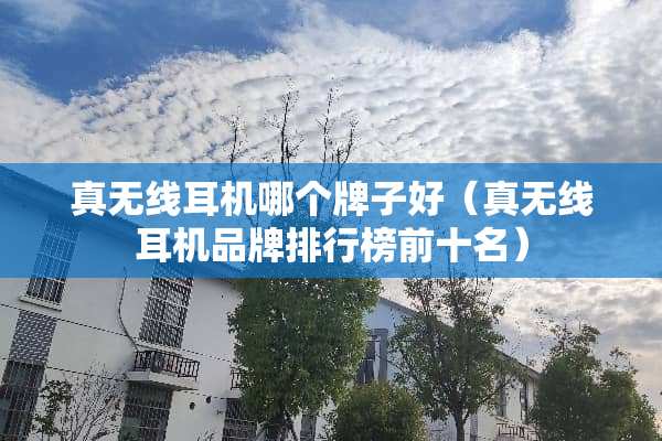 真无线耳机哪个牌子好（真无线耳机品牌排行榜前十名）