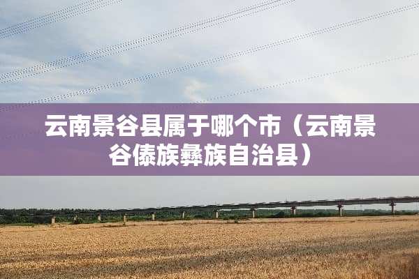 云南景谷县属于哪个市（云南景谷傣族彝族自治县）