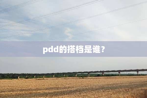 pdd的搭档是谁？