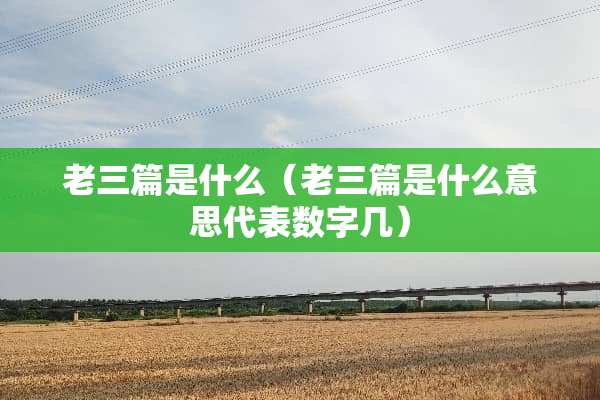 老三篇是什么（老三篇是什么意思代表数字几）