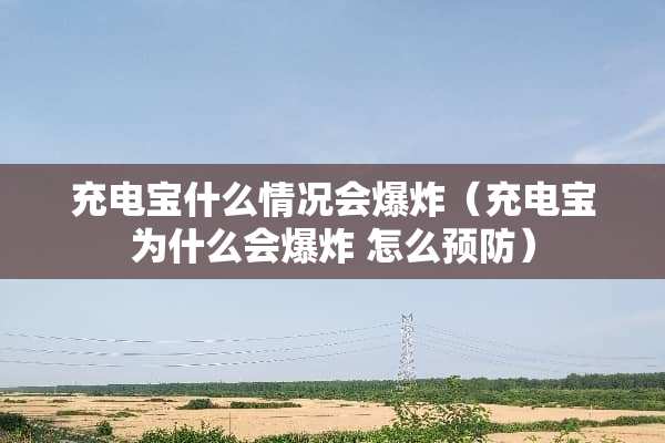 充电宝什么情况会**（充电宝为什么会** 怎么预防）