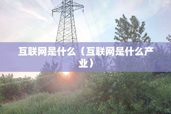 互联网是什么（互联网是什么产业）