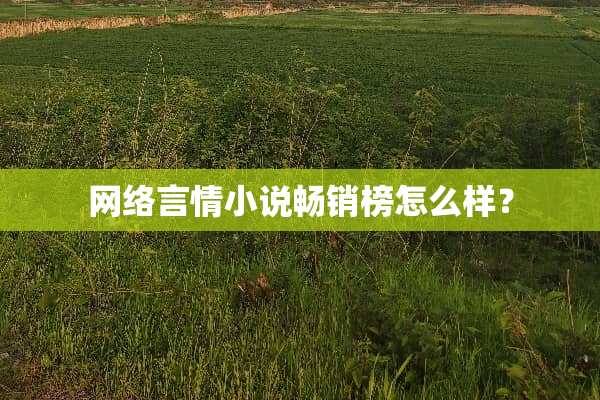网络言情小说畅销榜怎么样？