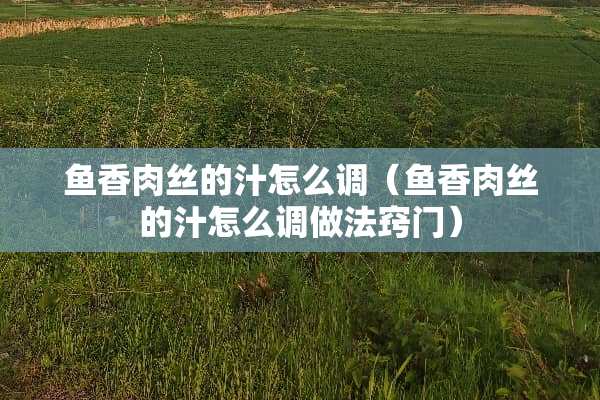 鱼香**的汁怎么调（鱼香**的汁怎么调做法窍门）