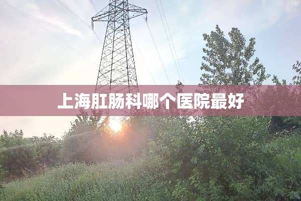 上海肛肠科哪个医院最好