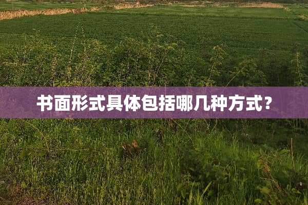书面形式具体包括哪几种方式？