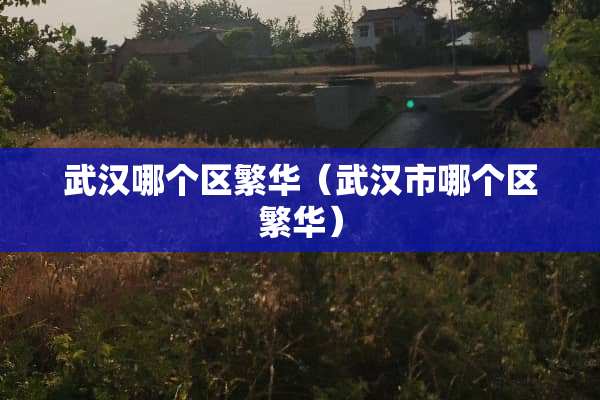 武汉哪个区繁华（武汉市哪个区繁华）