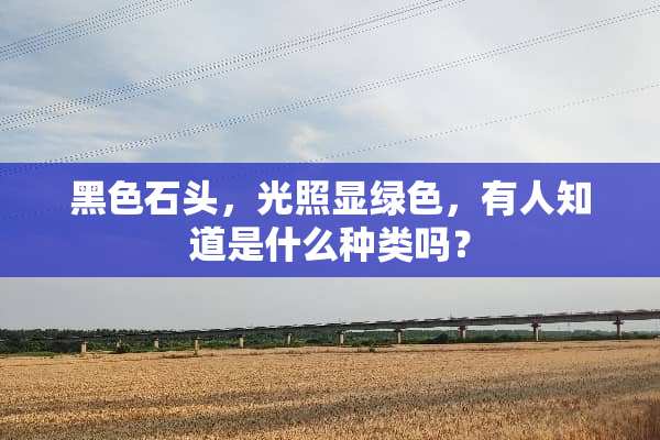黑色石头，光照显绿色，有人知道是什么种类吗？