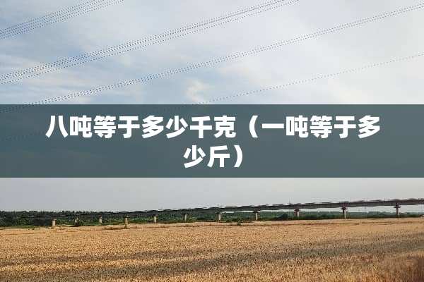 八吨等于多少千克（一吨等于多少斤）