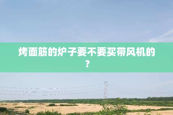 烤面筋的炉子要不要买带风机的？