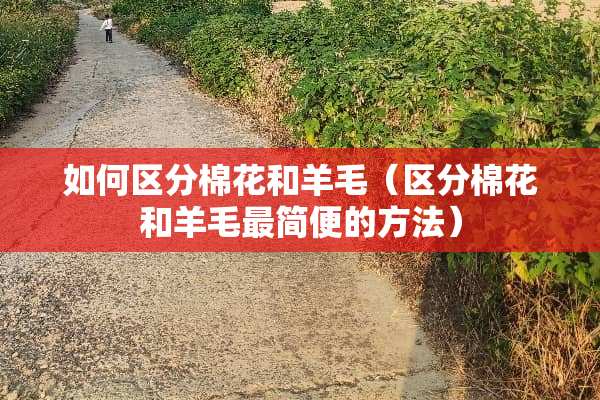 如何区分棉花和羊毛（区分棉花和羊毛最简便的方法）