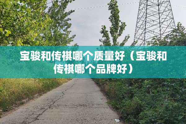 宝骏和传祺哪个质量好（宝骏和传祺哪个品牌好）