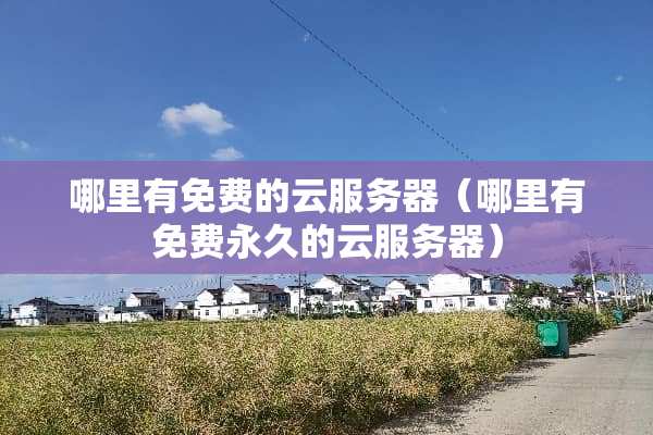哪里有免费的云服务器（哪里有免费永久的云服务器）