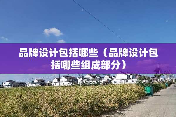 品牌设计包括哪些（品牌设计包括哪些组成部分）