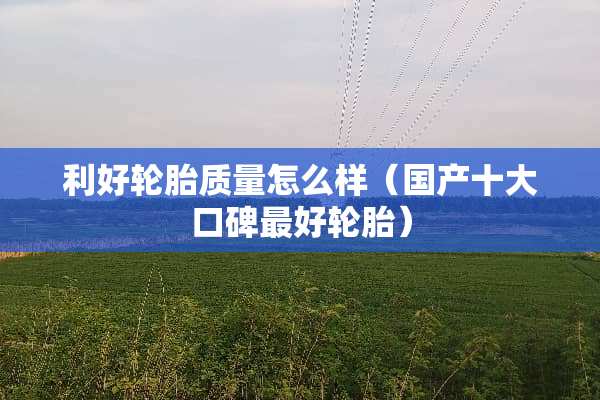 利好轮胎质量怎么样（国产十大口碑最好轮胎）