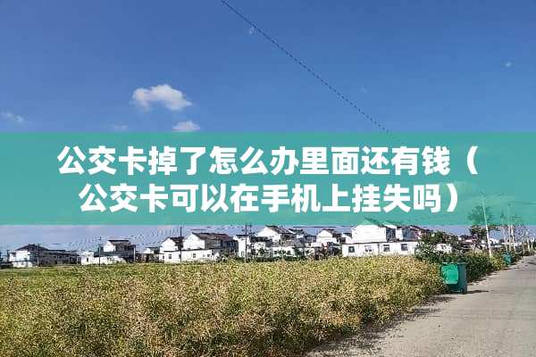 公交卡掉了怎么办里面还有钱（公交卡可以在手机上挂失吗）