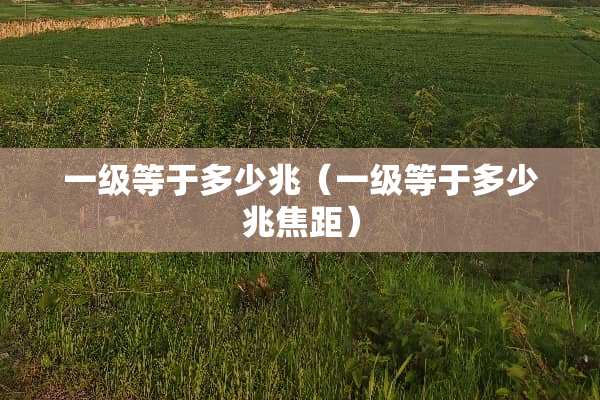 一级等于多少兆（一级等于多少兆焦距）