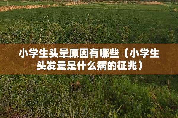 小学生头晕原因有哪些（小学生头发晕是什么病的征兆）