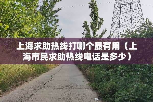 上海求助热线打哪个最有用（上海市民求助热线电话是多少）
