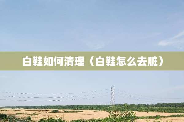 白鞋如何清理（白鞋怎么去脏）