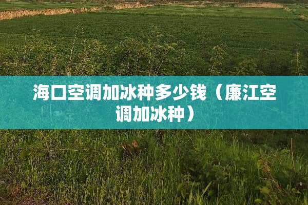 海口空调加冰种多少钱（廉江空调加冰种）