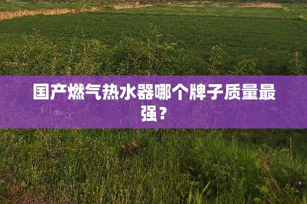 国产燃气热水器哪个牌子质量最强？