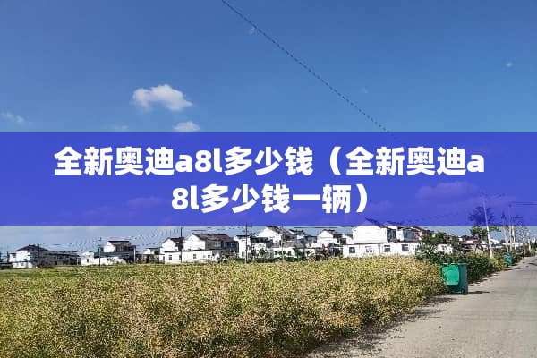 全新奥迪a8l多少钱（全新奥迪a8l多少钱一辆）
