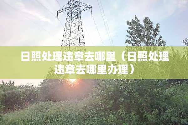 日照处理违章去哪里（日照处理违章去哪里办理）