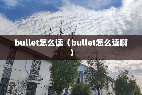 bullet怎么读（bullet怎么读啊）