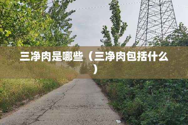 三净肉是哪些（三净肉包括什么）