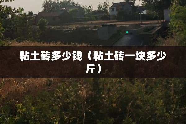 粘土砖多少钱（粘土砖一块多少斤）